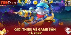 Giới thiệu về game bắn cá 789P