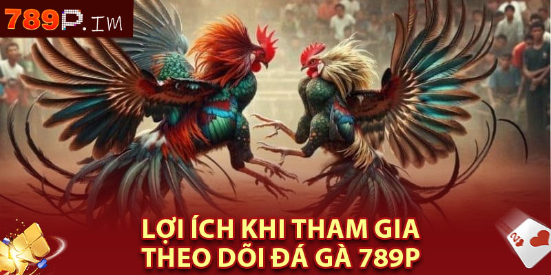 Lợi Ích khi tham gia theo dõi đá gà 789P