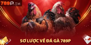 Sơ lược về đá gà 789P