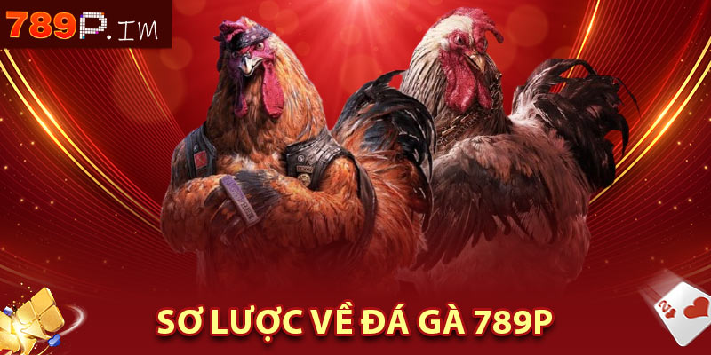Sơ lược về đá gà 789P
